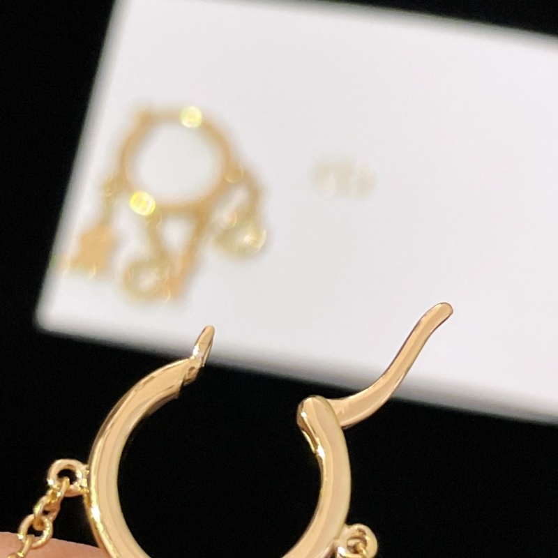 Christian Dior Earrings